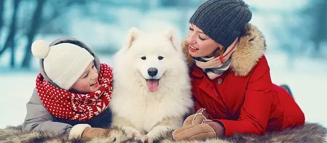 2025年12月14日日曜日のホロスコープ 