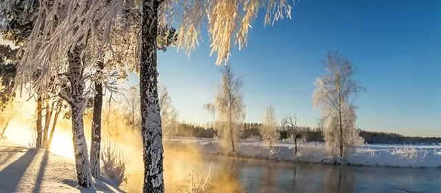 2025年12月20日土曜日のホロスコープ 