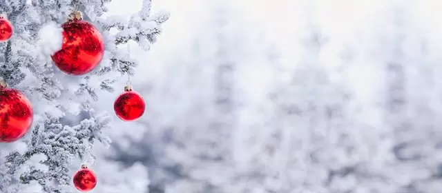 2025年12月23日火曜日のホロスコープ 