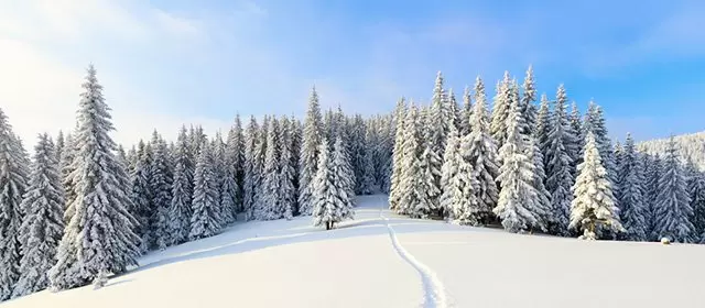 2025年12月30日火曜日のホロスコープ 